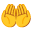 🤲